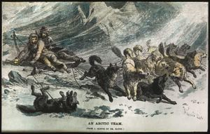 Image: An Arctic Team, Engraving